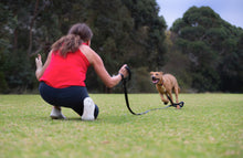 Load image into Gallery viewer, Taumapakkinn