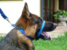 Load image into Gallery viewer, Premium: Við komum, mælum & kennum - ATH 100% endurgreiðsla ef þér líst ekki á Canny Collar