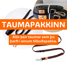 Load image into Gallery viewer, Taumapakkinn
