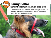 Load image into Gallery viewer, Canny Collar
