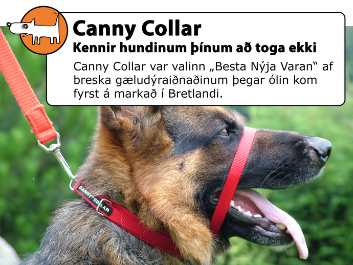 Canny Collar