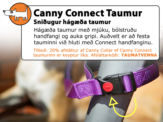 Canny Connect Taumur